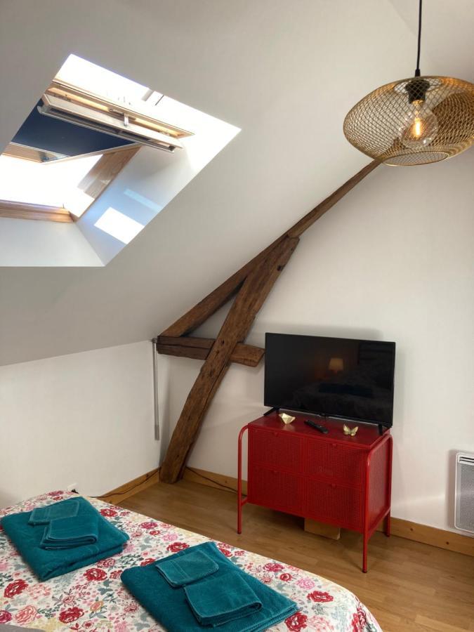 O Climatise Zoo Beauval Chateau Apartment Montrichard